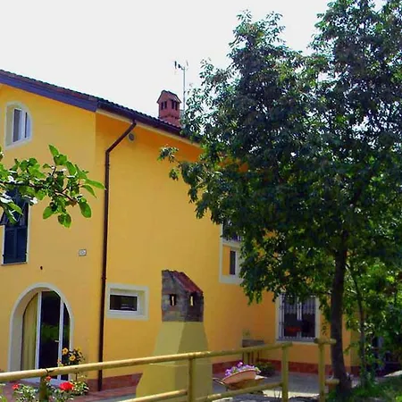 Il Cotogno *