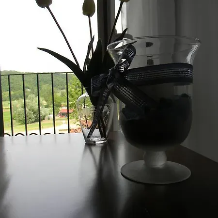 Il Cotogno ガーヴィ