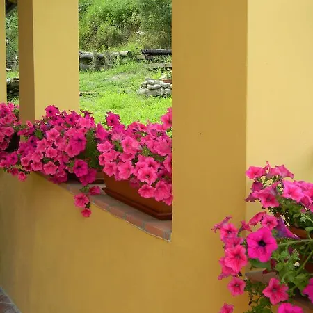 Il Cotogno Gavi