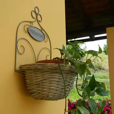 Il Cotogno Bed & Breakfast *
