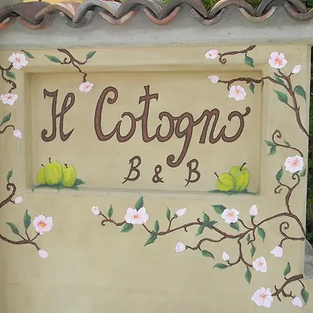 Il Cotogno